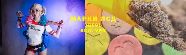 соль ск Богданович